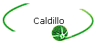 Caldillo