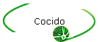 Cocido