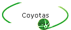 Coyotas