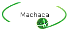 Machaca